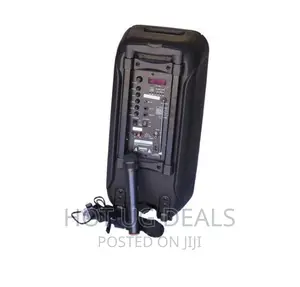 Cortina 12" Dual Rechargeable Amplified Speaker With 2 Mics