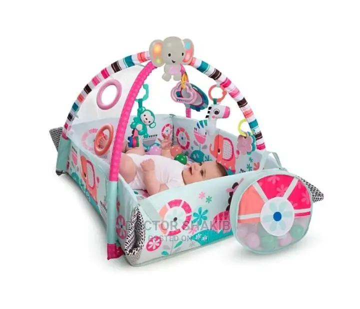 Baby Play Gym