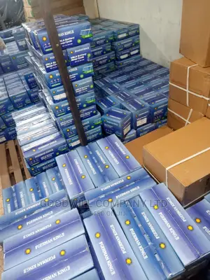 120ah German King Batteries for Solar