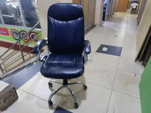 Office Long Back Performance Chair