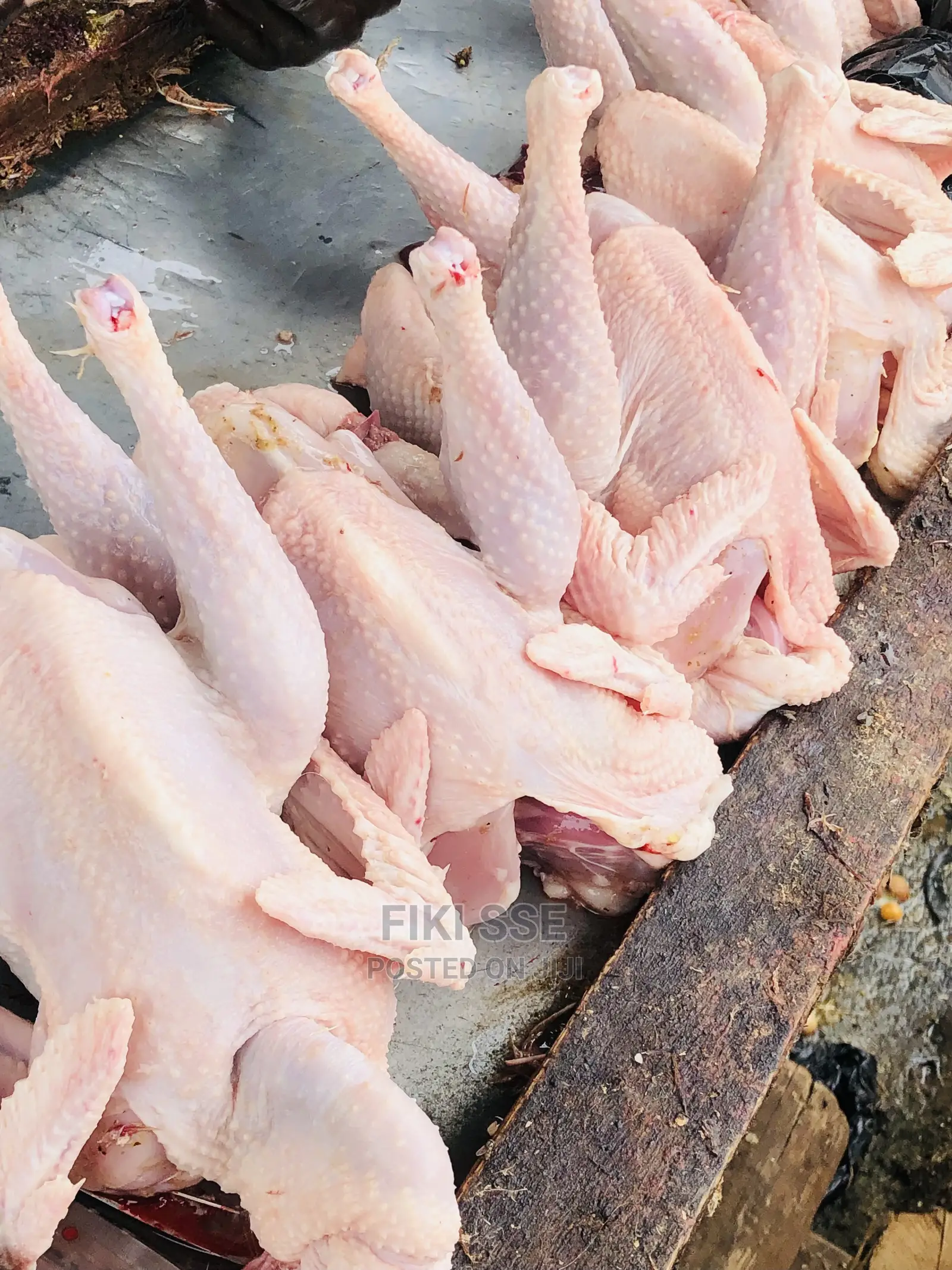 Plenty Chicken for Events at Good Price