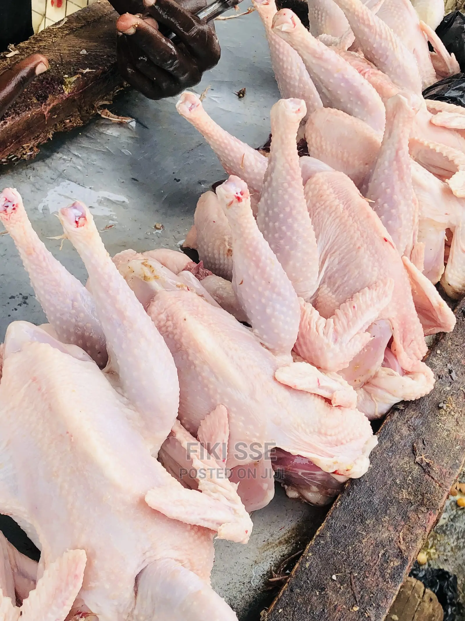 Plenty Chicken for Events at Good Price