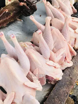 Plenty Chicken for Events at Good Price