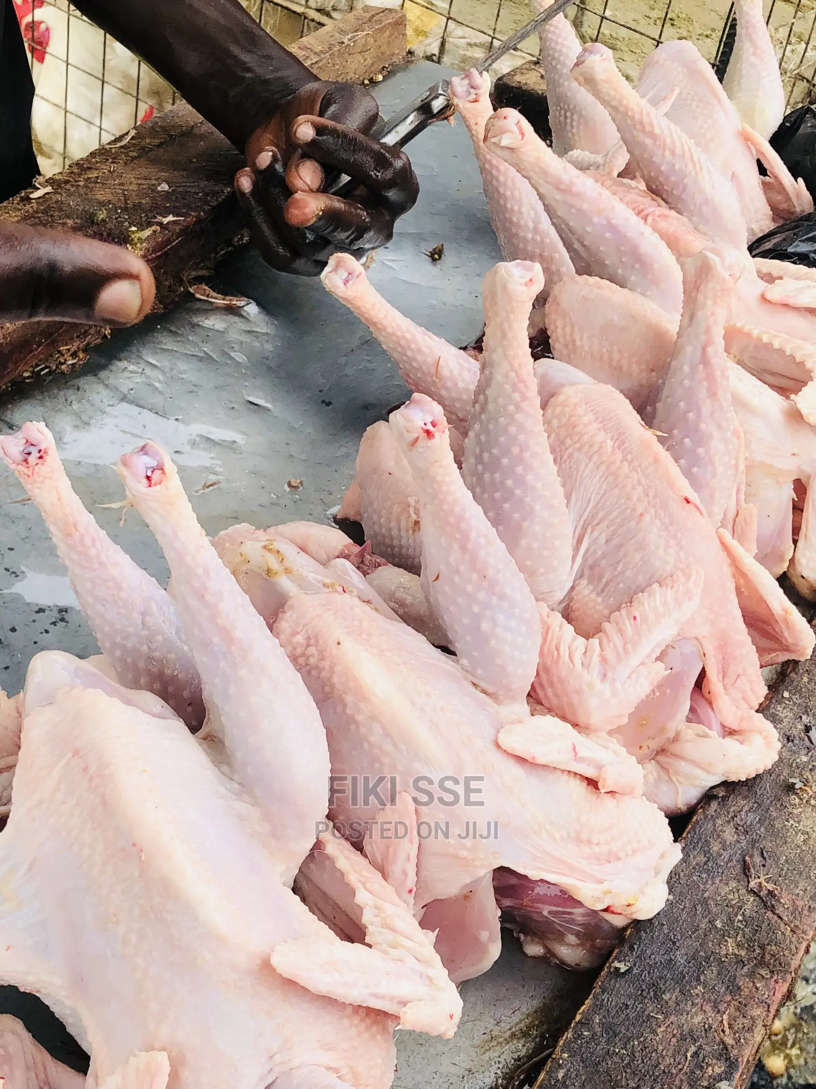 Plenty Chicken for Events at Good Price