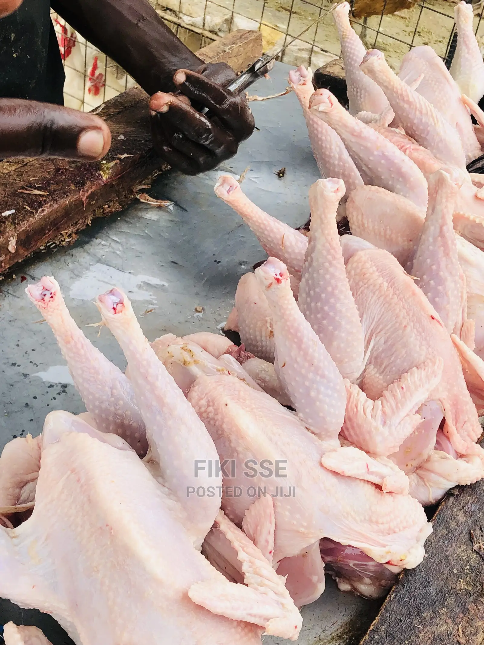 Plenty Chicken for Events at Good Price