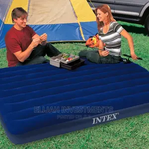 Intex Inflatable Mattress With Two Pillows and Pump