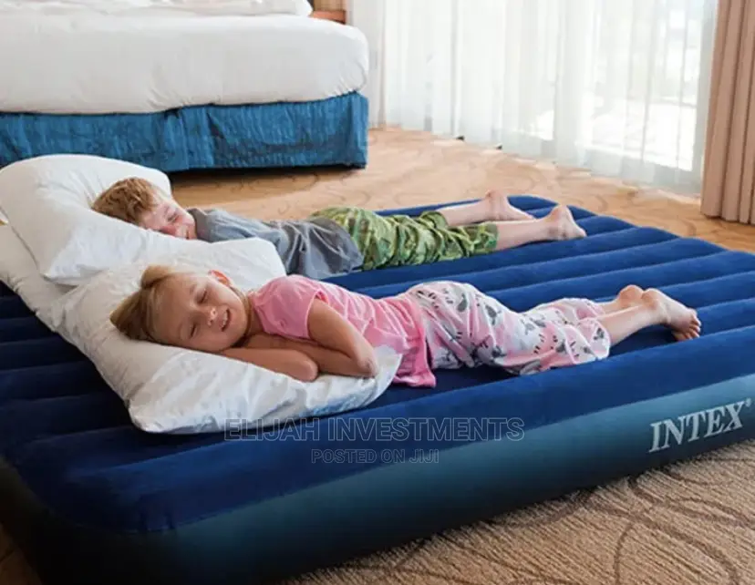 Intex Inflatable Mattress With Two Pillows and Pump