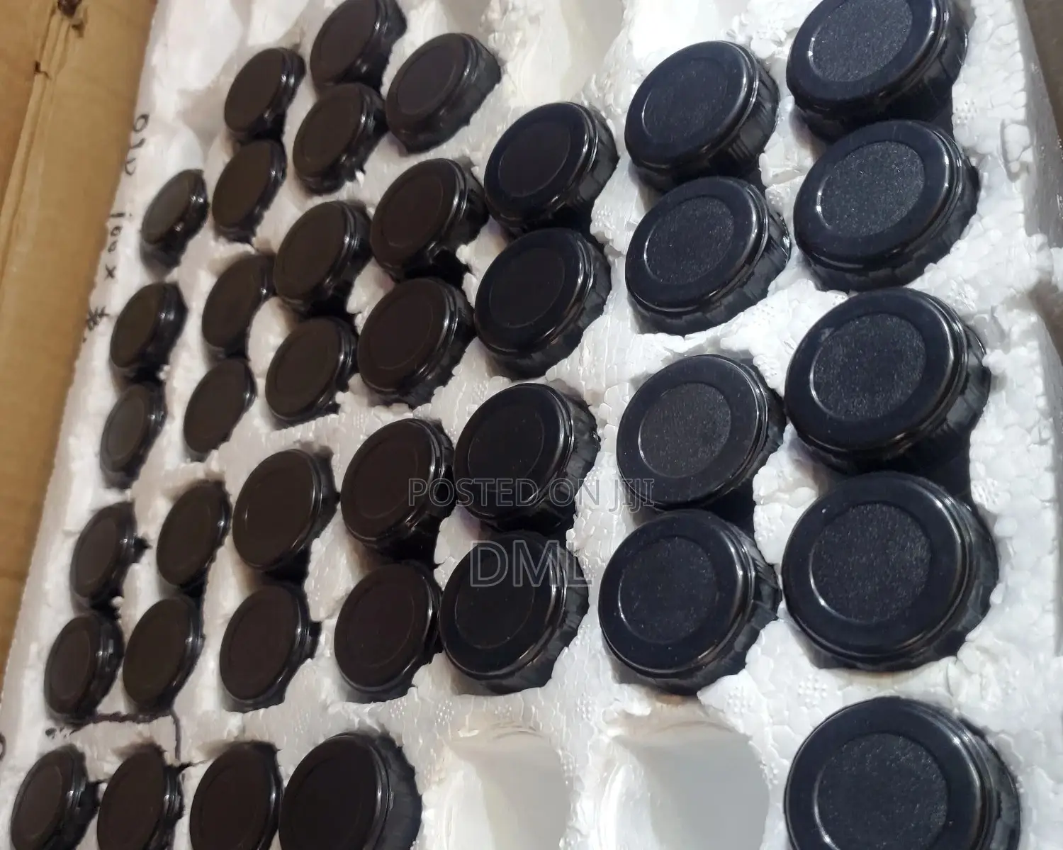 Microscope Objective Lenses
