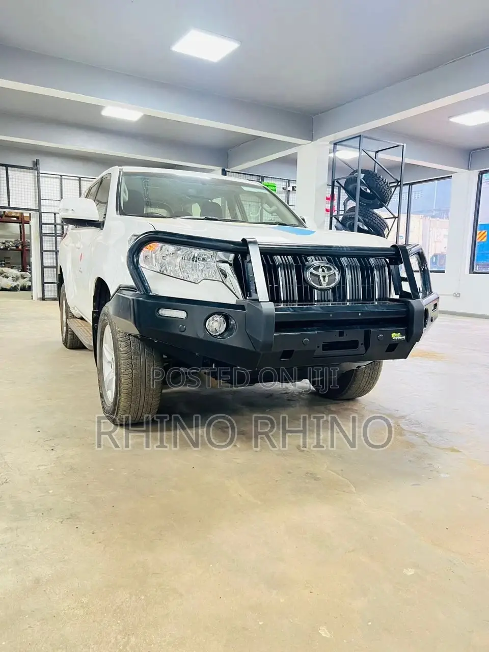 Bull Bar Guard All Models Available