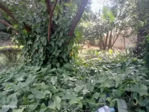 68decimals In Nakasero On Quick Sale