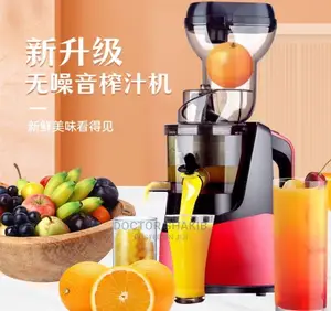 Raf Compact Slow Juicer Juice Blender