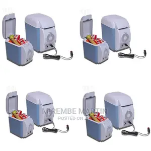 Portable Electric Fridge