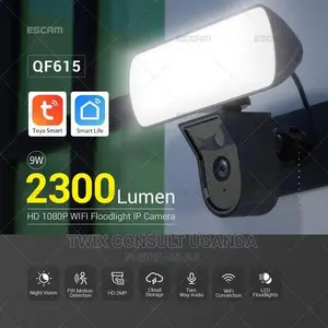 Escam Flood Light Ip66 Wifi IP Camera