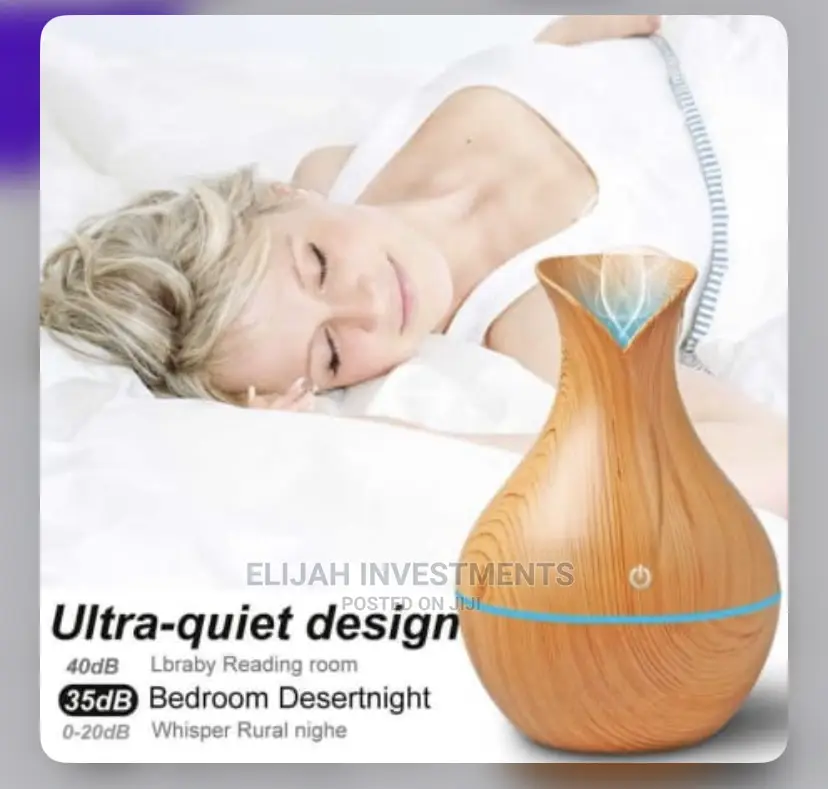 Indoor Air Diffuser/Humidifier