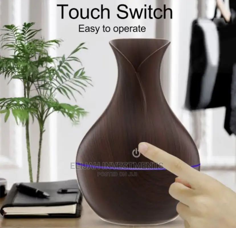 Indoor Air Diffuser/Humidifier