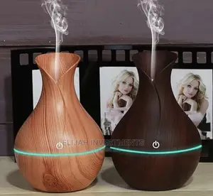Indoor Air Diffuser/Humidifier