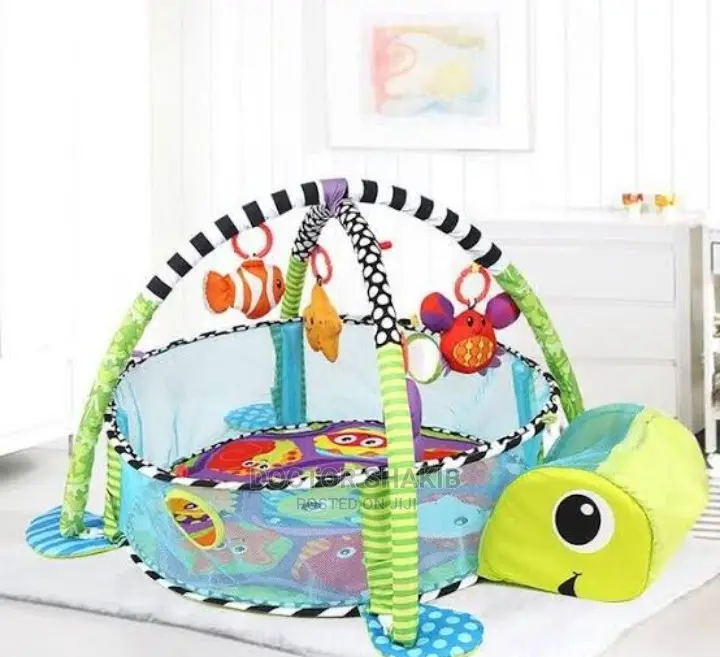 Activity Gym and Ball Pit