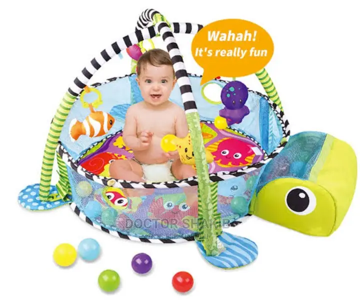 Activity Gym and Ball Pit