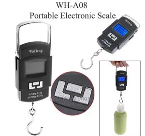 Portable Travel Scale
