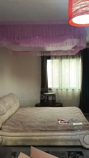 Ceiling Net