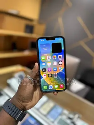 Apple iPhone 13 Pro Max 256 GB Gray