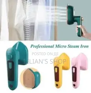 Professional Steam and Dry Iron