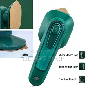 Professional Steam and Dry Iron