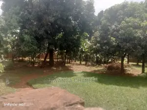 20decimals of Land in Mawanda Road on Quick Sale