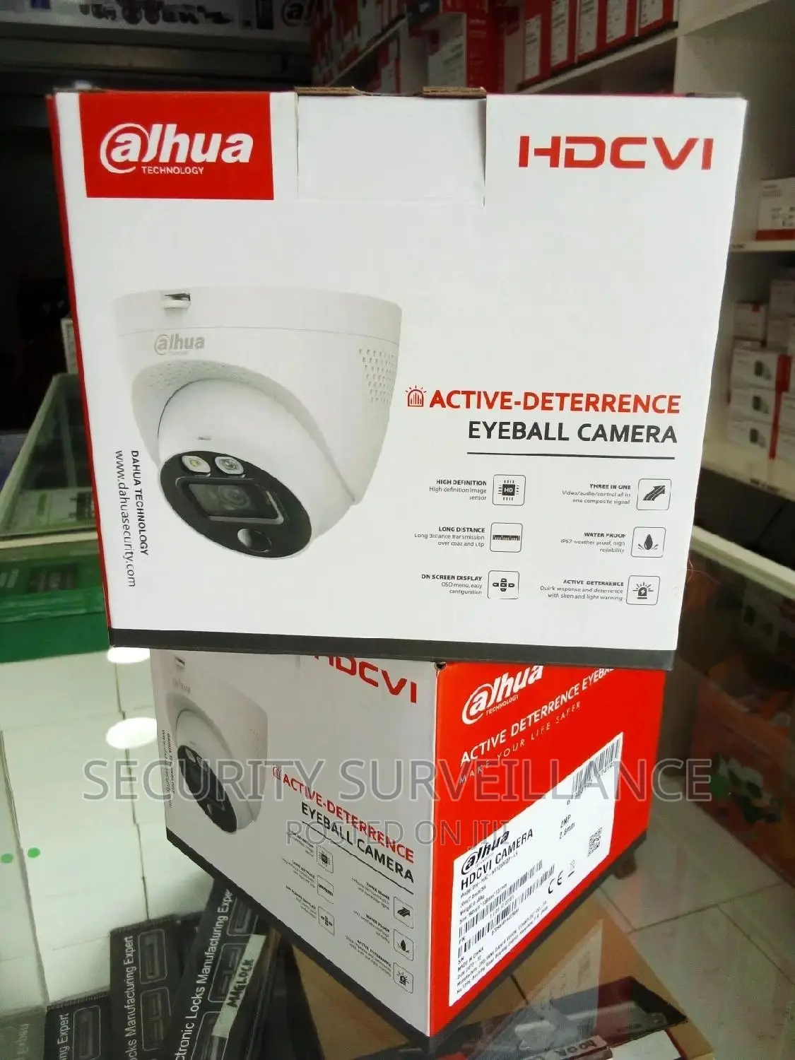 2MP Siren Eyeball Camera