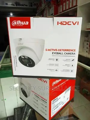 2MP Siren Eyeball Camera