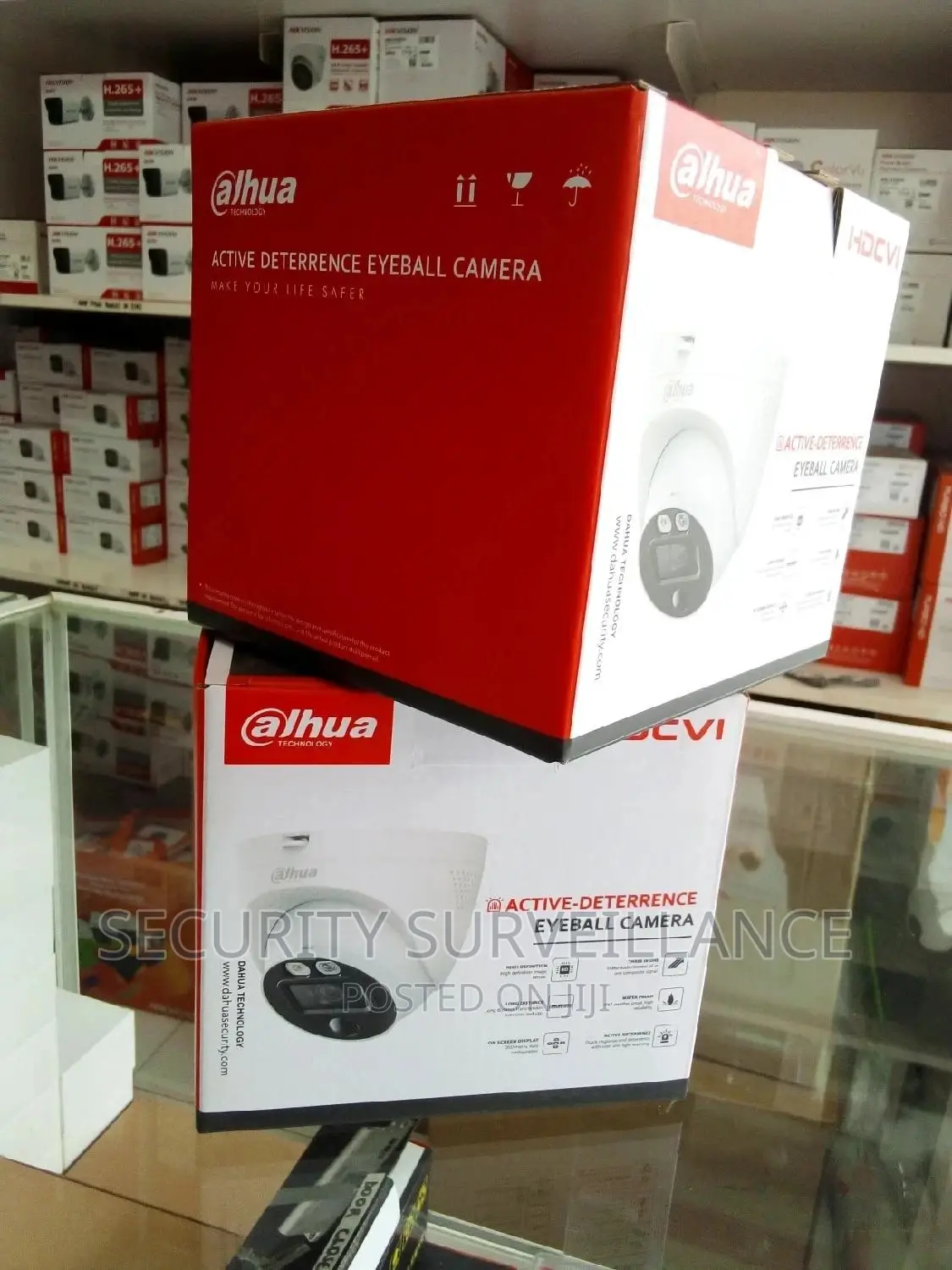 2MP Siren Eyeball Camera