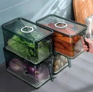 Transparent Frigde Container