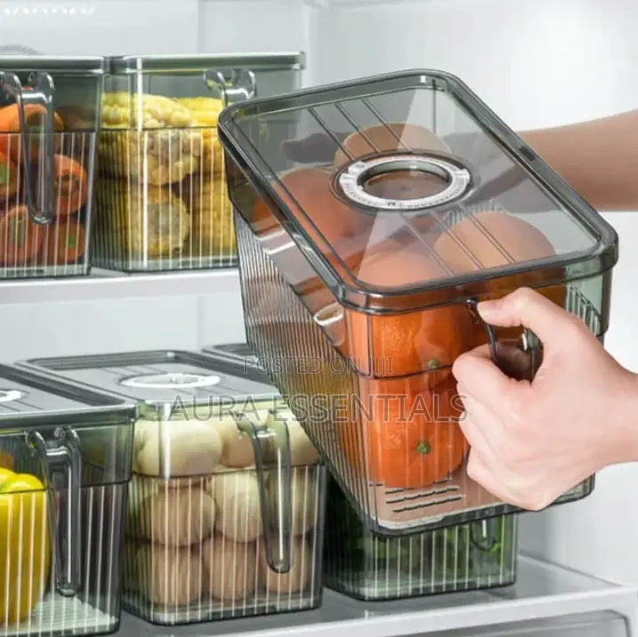 Transparent Frigde Container