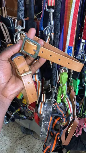 Dog Collars