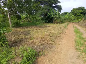 50*100fts Plots on Sale
