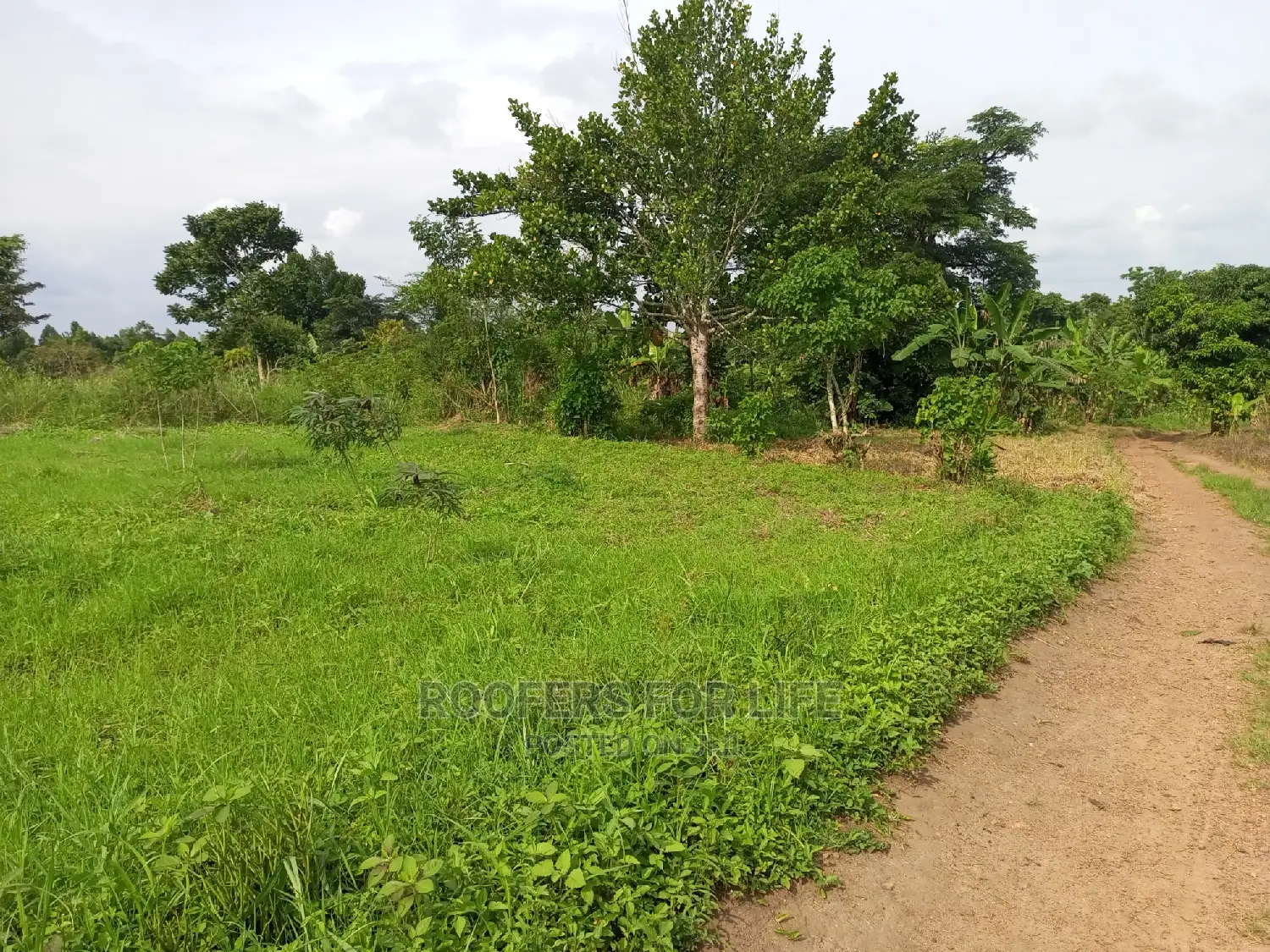 50*100fts Plots on Sale