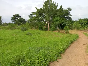50*100fts Plots on Sale