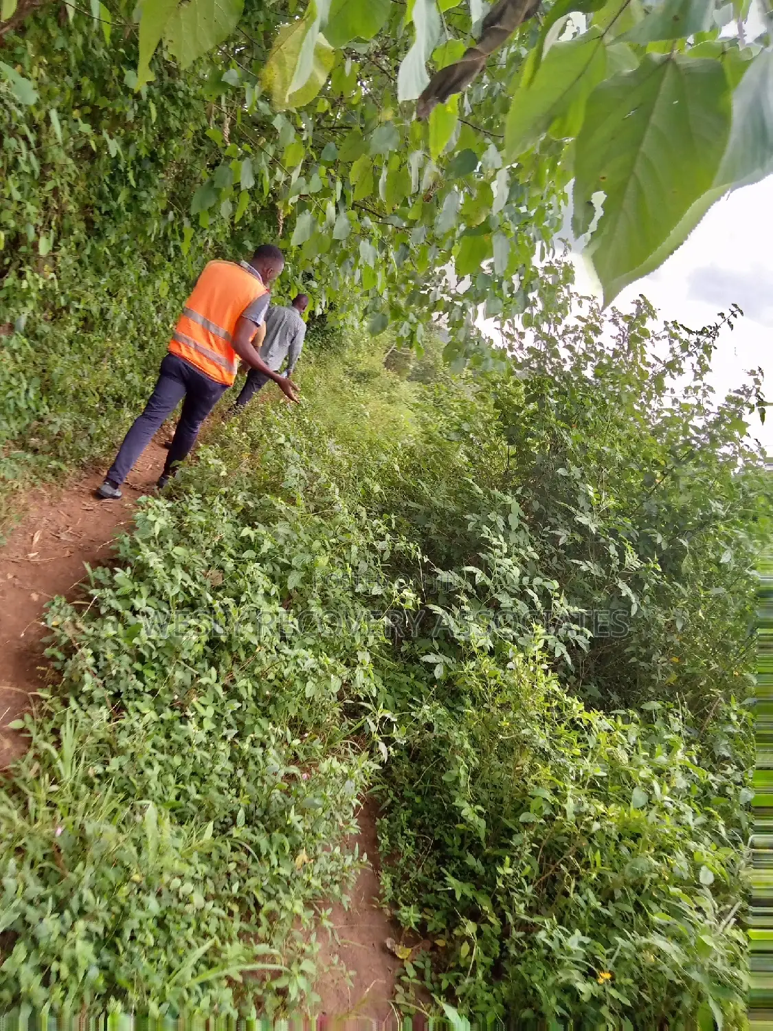 Land for Sale in Mukono - Katoogo