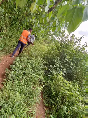 Land for Sale in Mukono - Katoogo