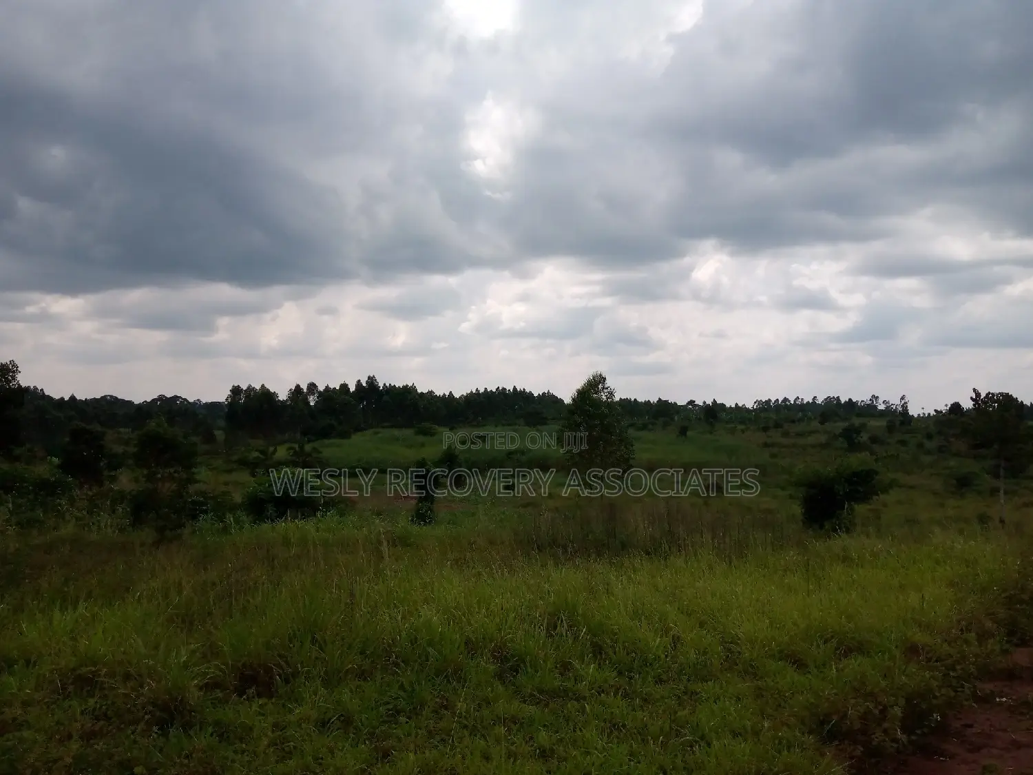 Land for Sale in Mukono - Katoogo