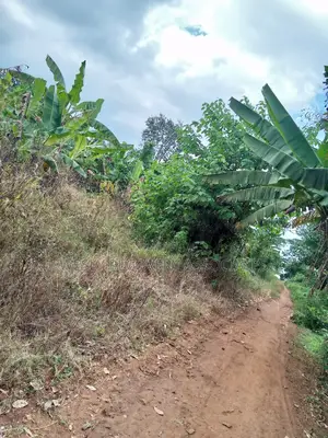 Land for Sale in Mukono - Katoogo