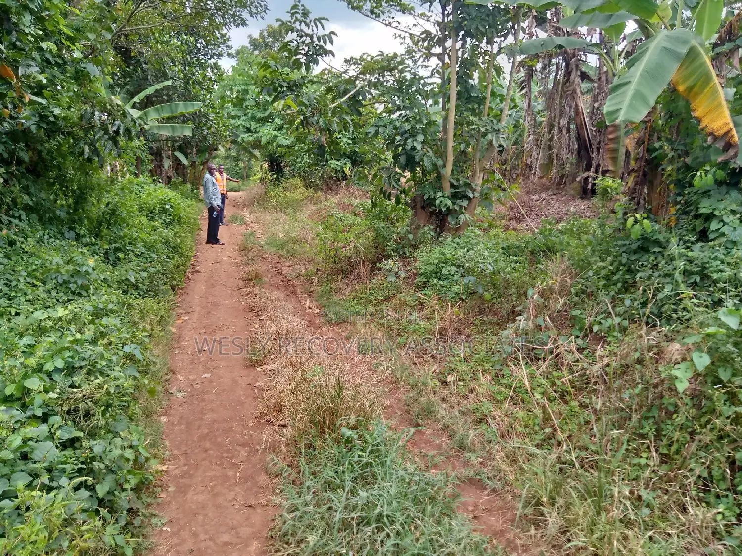 Land for Sale in Mukono - Katoogo
