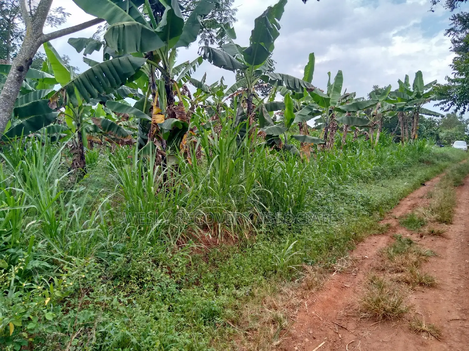 Land for Sale in Mukono - Katoogo