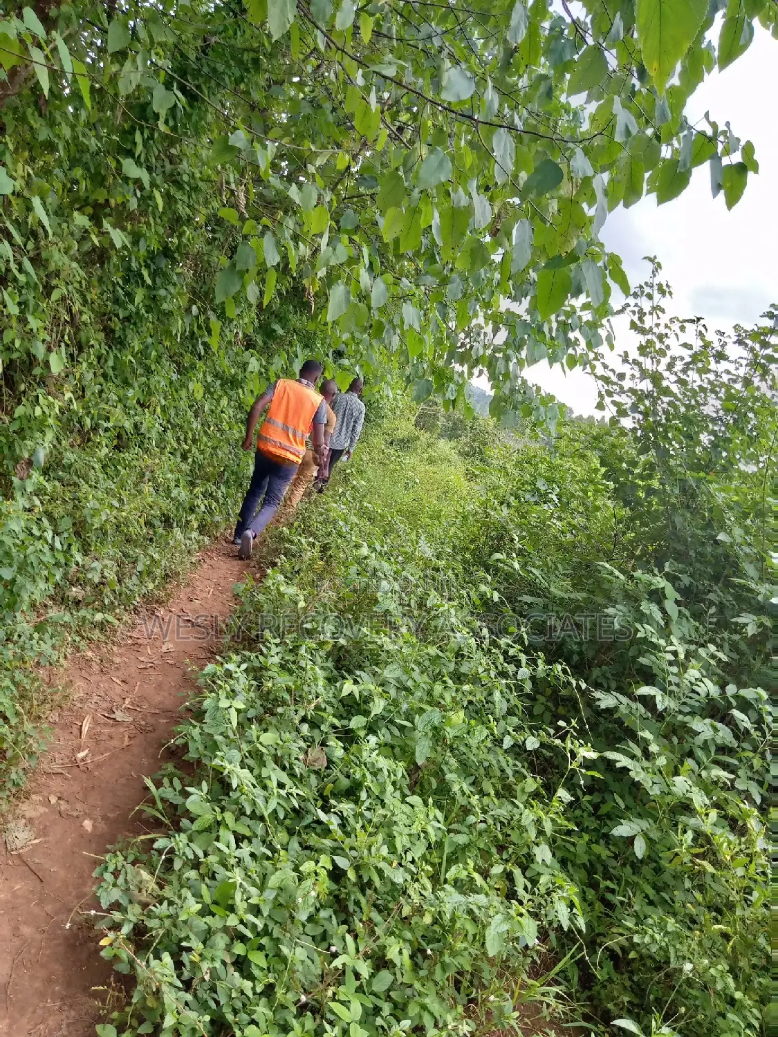 Land for Sale in Mukono - Katoogo