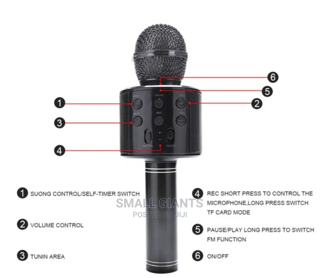 Handheld KTV Wireless Microphone