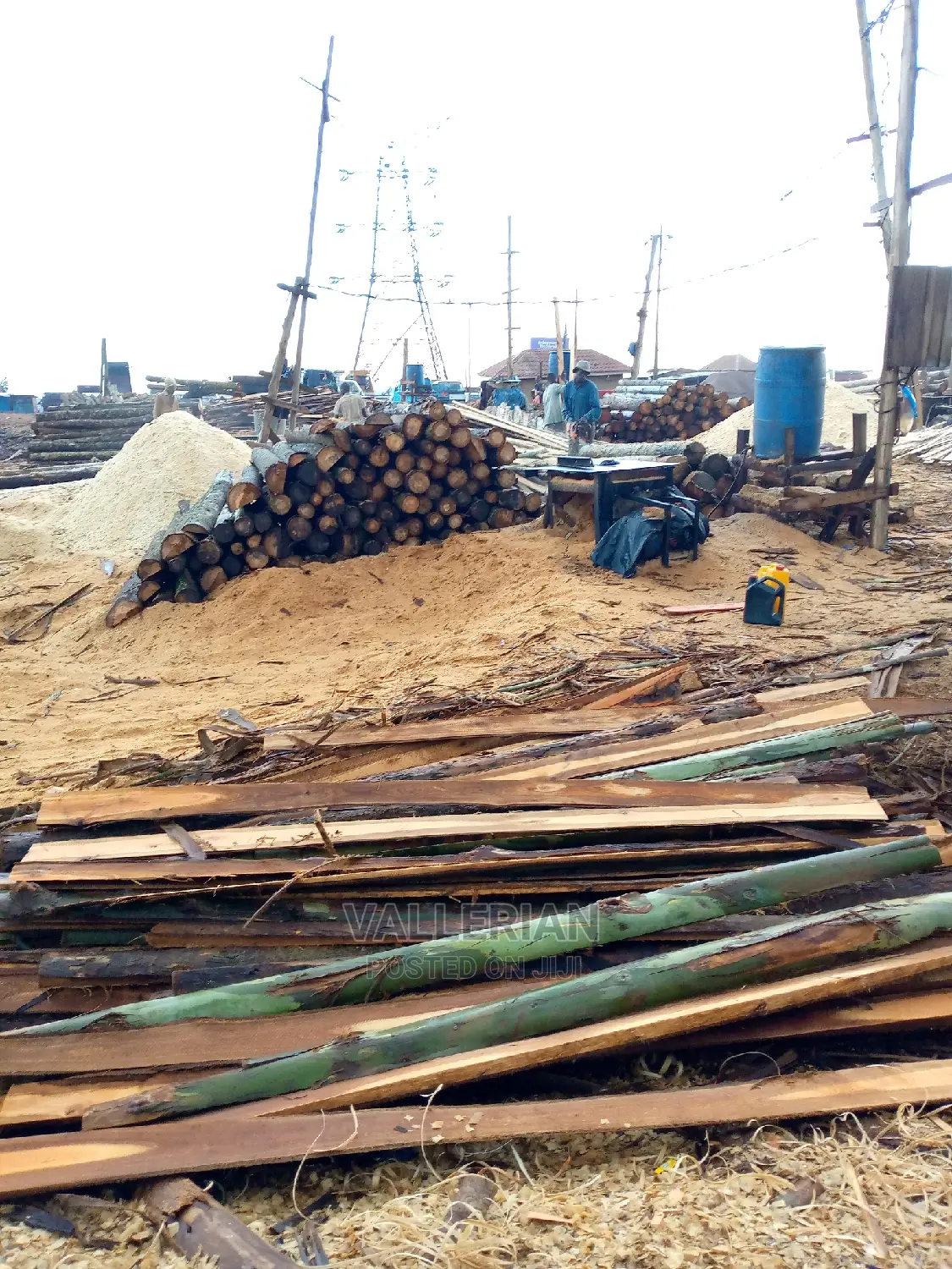 Firewood for Sell