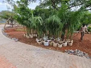 Palm Trees/Flowers Medium Size