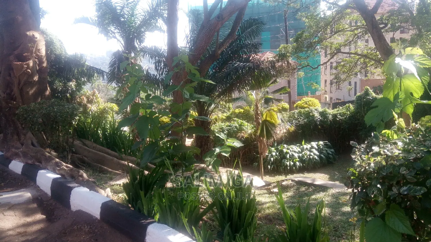 3bdrm Duplex in Kololo Property, Central Division for rent