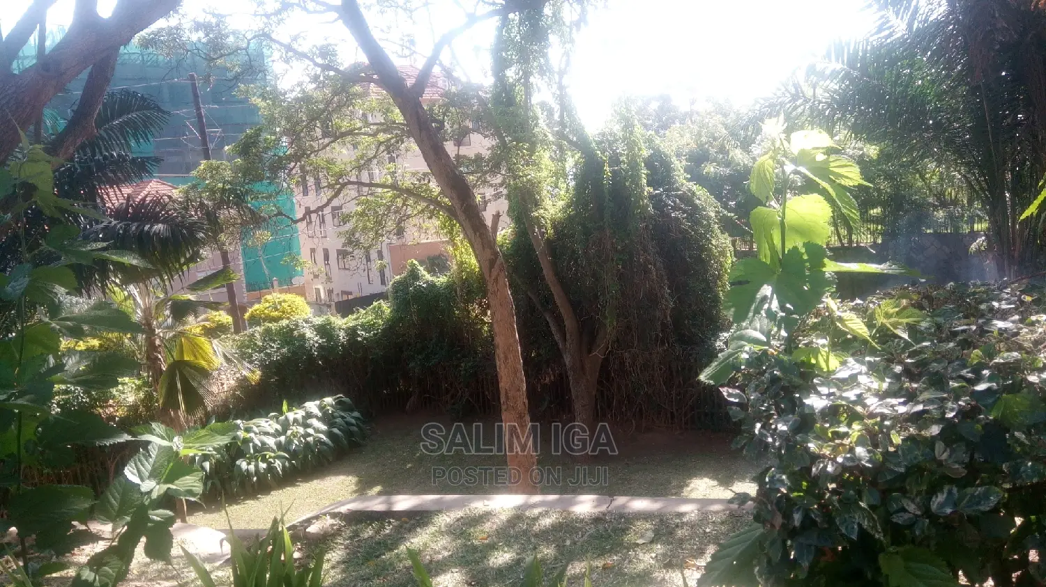 3bdrm Duplex in Kololo Property, Central Division for rent