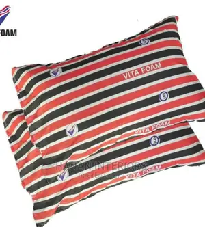 Vita Form Pillows -a Pair